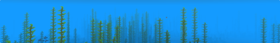 Minecraft: Waterfall Banner